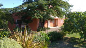 Le Clos Albizia